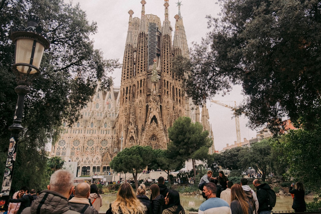 traductor español catalan