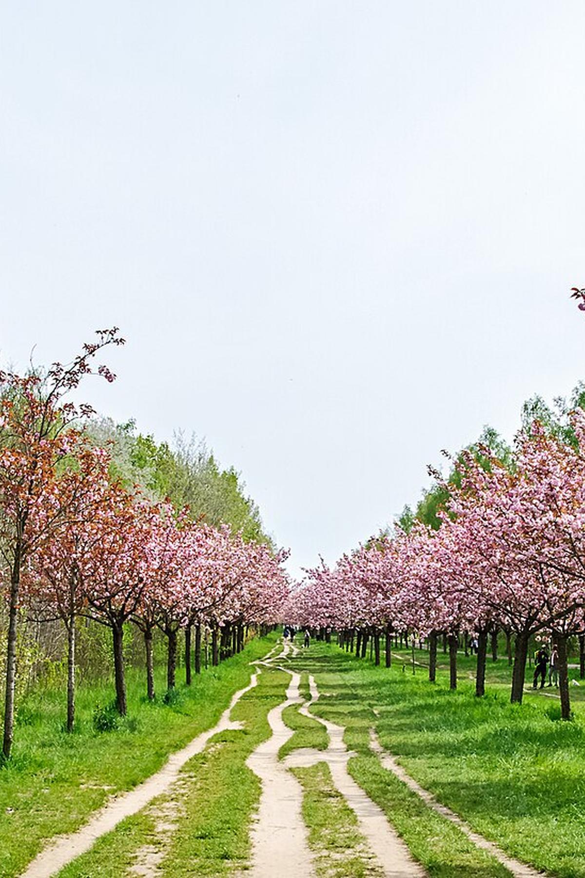 Berlin Wall Trail