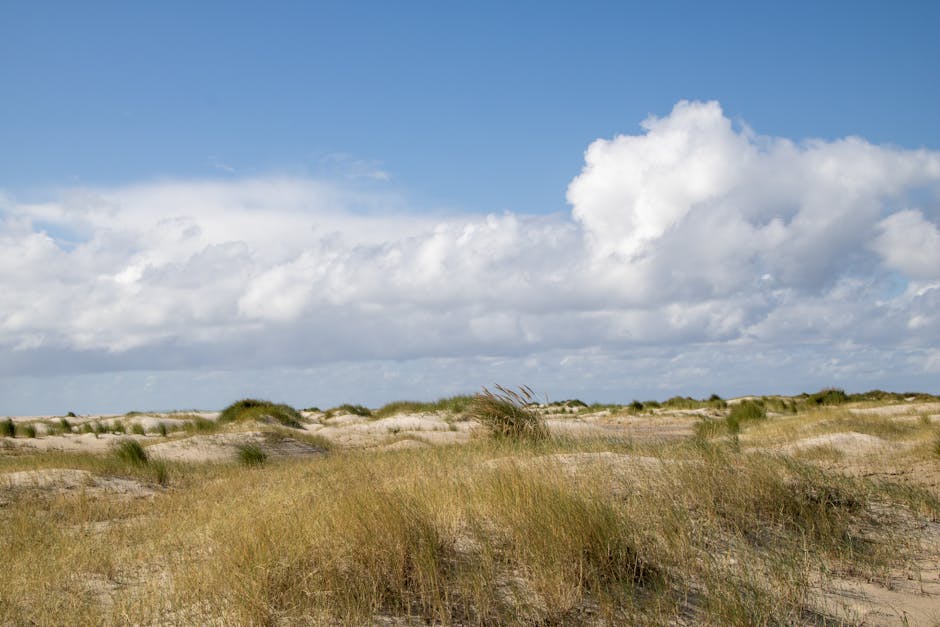 In Bezug auf das Okkulte: 7 Geheimnisse für tiefere Einsichten 16 in bezug auf das okkulte