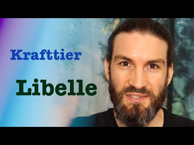 libelle krafttier bedeutung